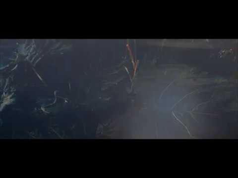 Jaysic - AFJ 2 Ft. Brother