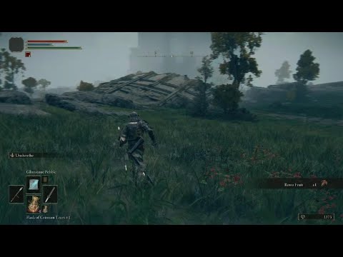 ELDEN RING Giant Archer