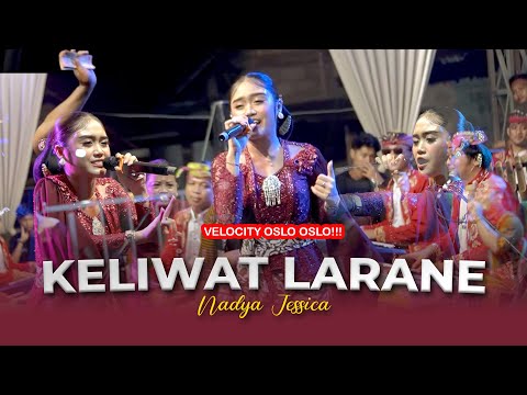 KELIWAT LARANE - NADYA JESSICA || CAMPURWANGI KUWUNG WETAN || LIVE MUSIC