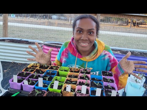 I Got Them All Uppotted + We Have A Suprise | VLOG