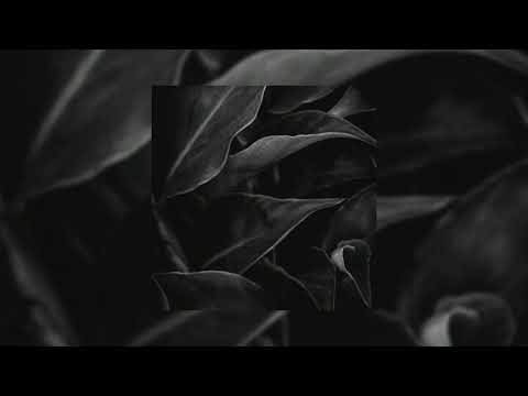 sinxi - looking for me (audio)