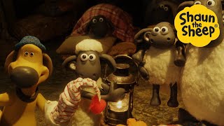Whole Gang's here! 🐑 Shaun the Sheep 🐑 - Cartoons for Kids 🐑 Full Episodes Compilation [1 hour]