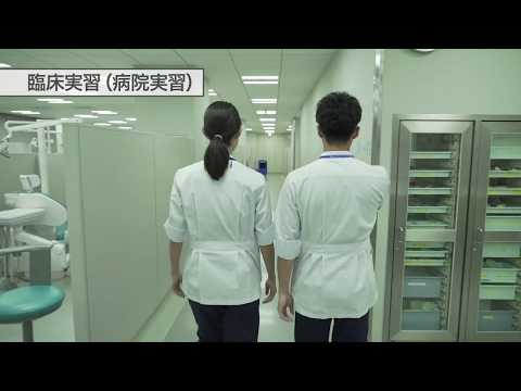 【日本歯科大学 生命歯学部】臨床実習（病院実習）
