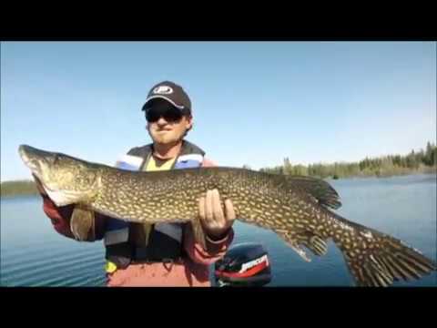 The Fish'n Canada Show flies White River Air to a Remote Outpost in Algoma Country - YouTube