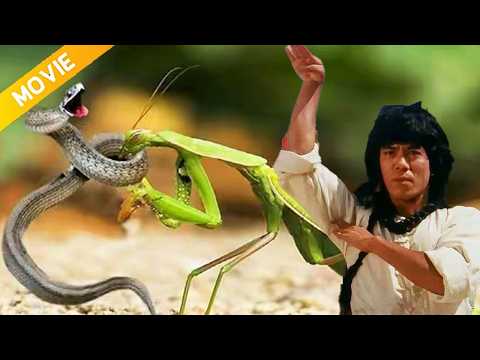【功夫電影】 小夥苦練功夫，意外領悟蛇形刁手，輕鬆反殺惡霸！ #kungfu #功夫 #螳螂拳 #蛇拳 #港劇 #jackiechan