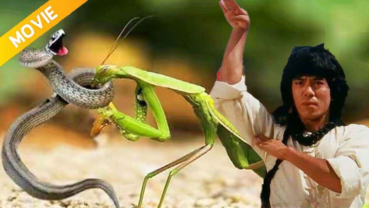 [Kung Fu Movie] A young man masters Snake Fist through training and easily defeats the bullies!