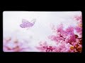 Chiguru Gombe Song