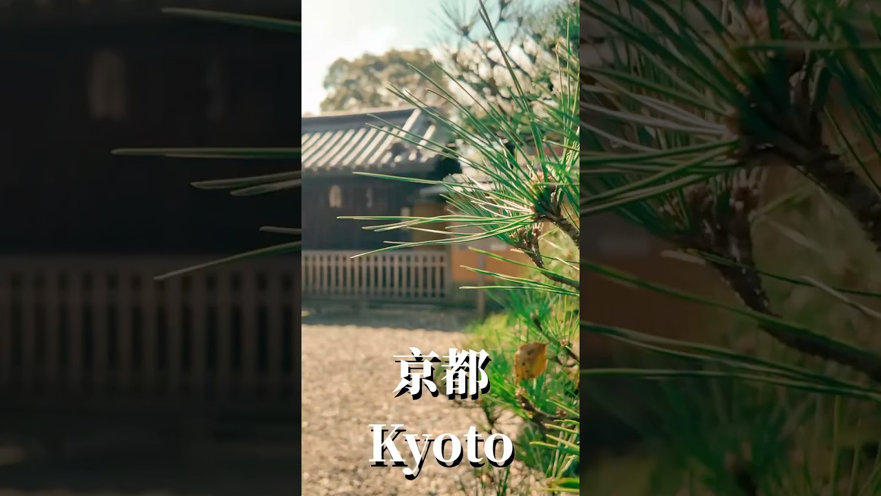 京都漫遊……用心來體會這座古都 #京都 #日本旅遊