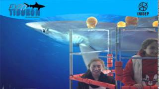 DIA 3 Expo Tiburon90