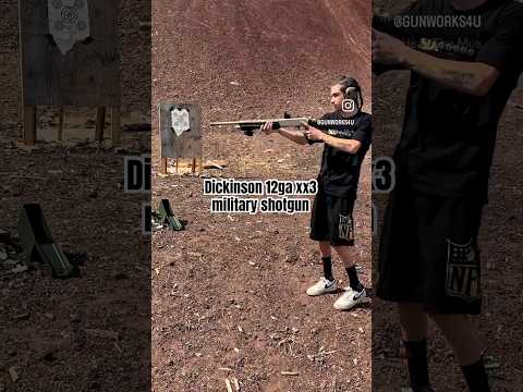 Dickinson Tactical 12 Gauge Shotgun review, EXPOSING FLAWS!