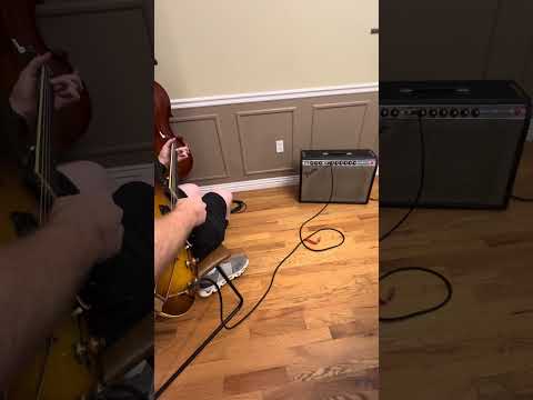 Fender Deluxe Reverb 2-Channel 22-Watt 1x12" Guitar Combo 1970 - 1979 - Silverface- Cannabis Rex Speaker Upgrade image 8