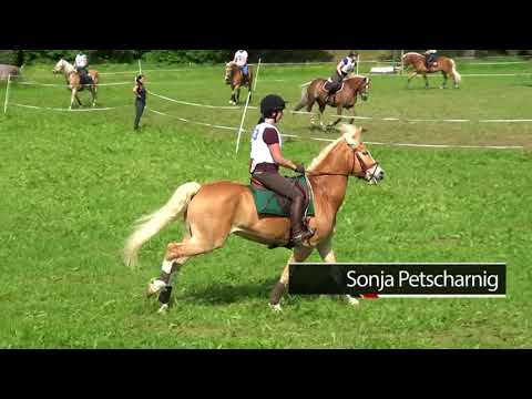 Sonja Petscharnig - Angelo Golden Dancer - L - Maria Rain 2018