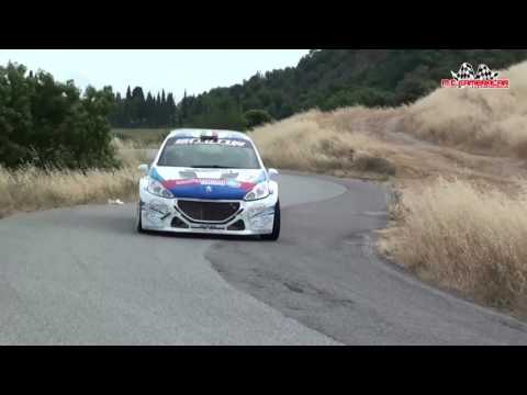 Cecina 2017 Senigagliesi - Morganti 1° ASSOLUTI