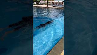 Download lagu Learn to swim #swimming #waterplay #fun mp3