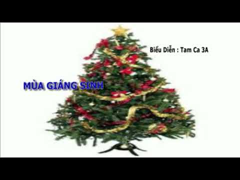 Mùa giáng sinh - Tam Ca 3A
