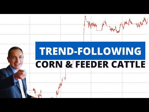 Trend-Following Strategies for Corn and Feeder Cattle – Also for Small Capitals (with Performance)