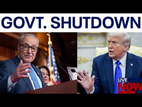 Video | Trump slams Democrats for 'shutting down' government