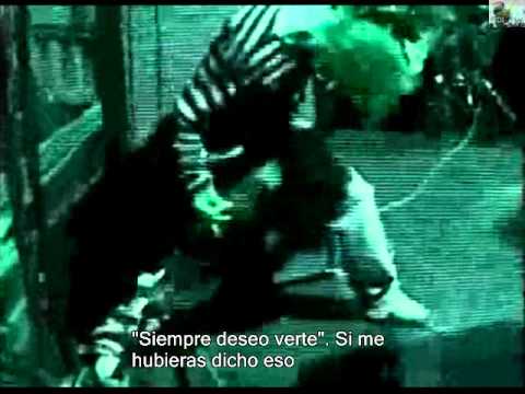 Plastic tree - Ghost Sub Español