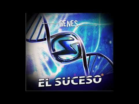 EL SUCESO - Mi historia entre tus dedos / Nada de nada