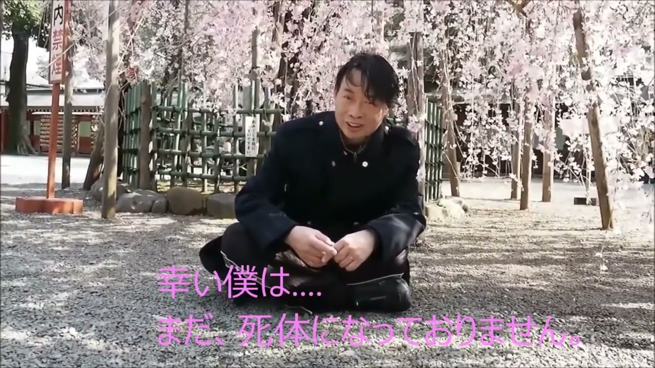 大國魂神社・しだれ桜の下で