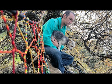 Charlie’s Webs since 2008 #treenet #spacenet #web #climb #rope #spider #art