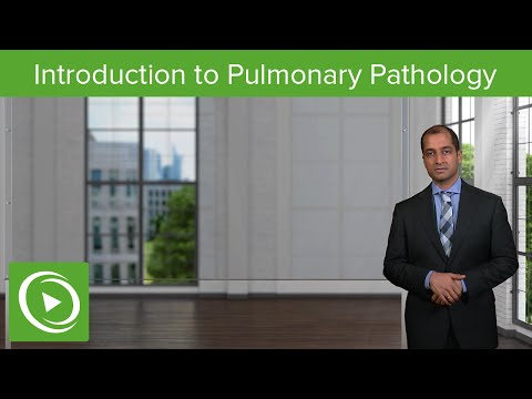 Pulmonary Pathology: Introduction & Clinical Anatomy – Pulmonary Pathology | Lecturio