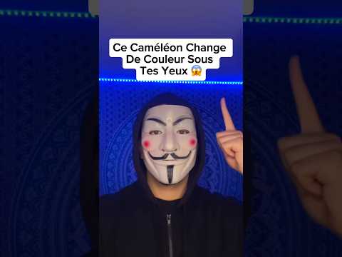 Ce Caméléon Change De Couleur Sous Tes Yeux 😱 #shorts