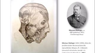 Anatomy's Photography by Dr Michael Sappol