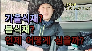 나무 가을식재가 좋을까? 겨울식재? 식재후 관리