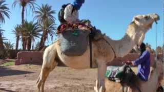 Camel Trek in the Sahara, Morocco