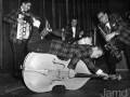 BILL HALEY and the COMETS ( real rock drive )