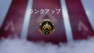 負けた筋トレするエーペックス！！