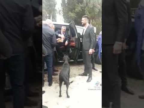 Dumansız Ateş - Veysel Aygün