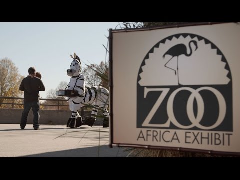 SmallHD Doritos Ad | A Day at the Zoo