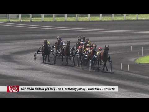 Course de référence pour le Quinté+ du 20/05 - 107 BEAU GAMIN