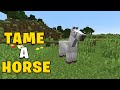 How To Tame A Horse In Minecraft 1 21