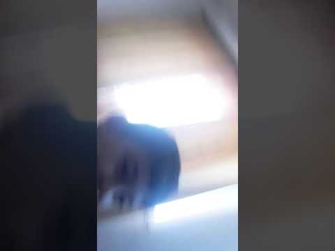 Reactionez cu fratele meu la abi rege pă romania