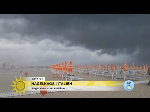 Hagelkaoset i Italien: ”Vi fick släpa in människor – de hade dött om de gått u… - Nyhetsmorgon (TV4)