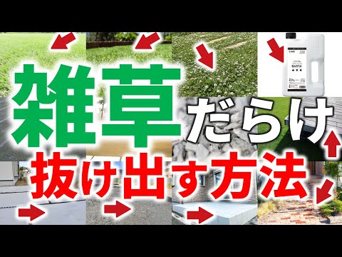 雑草に対する目地砂:これは考慮する必要があることです トピックス