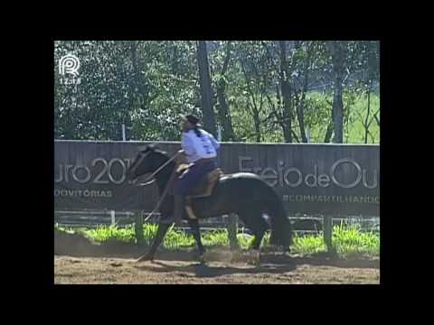 Chapecó – 1° lugar fêmeas – BT Basteira