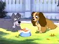Lady And The Tramp 1955 Lady Meets Tramp