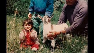 Goats in trees - Foster the People [Lavee cover]