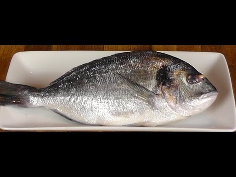 download lagu mp3 mp4 Orata Fish, download lagu Orata Fish gratis, unduh video klip Orata Fish