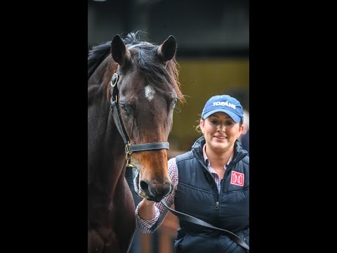 2022 Magic Millions GC National Broodmare Sale - Lot 542