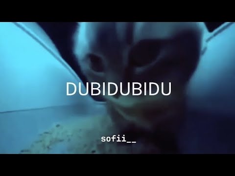 "Chipi chipi chapa chapa dubi dubi daba daba" Christell - Dubidubidu || Subtitulada en español