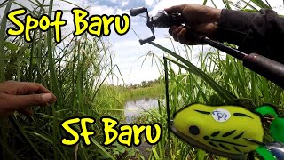 preview picture of video 'Nyobok Part 1 : Casting Haruan pake Soft Frog "Murah tapi gak MURAHAN" di Danau Sendamai, Muara Samu'