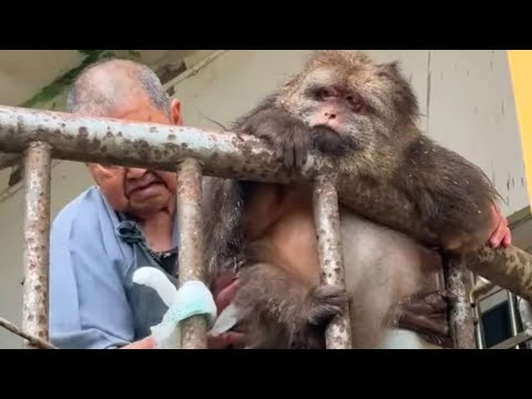 Xingxing Is Obediently Letting Her Grandma Give Her A Bath!