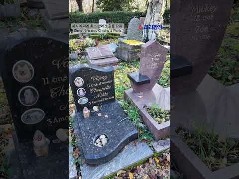 파리의 세계 최초 반려견 공동묘지