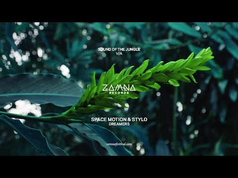 Space Motion & Stylo - Dreamers