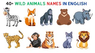 English Vocabulary | Name Of 40+ Wild Animals In English | Animal Names | Animal English Names